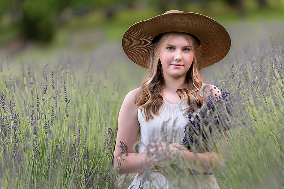 Lavender field